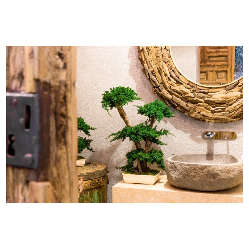 stabiliseeritud bonsai2.jpg