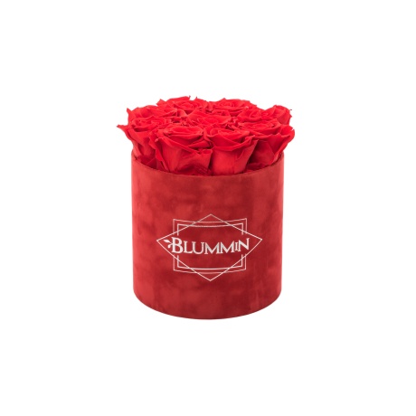 -20% MEDIUM  RED VELVET BOX WITH VIBRANT RED ROSES NB! КОРОБКА СО СТАРЫМ ЛОГОТИПОМ