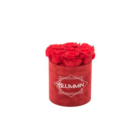 SMALL RED VELVET BOX WITH VIBRANT RED ROSES