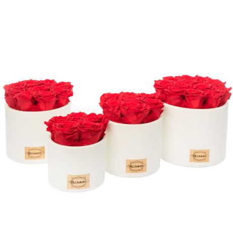 WHITE CERAMIC POT WITH VIBRANT RED ROSES