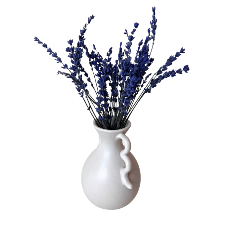 KAUASÄILIV LAVENDEL - VÄIKE KIMP 