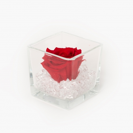 GLASS VASE WITH VIBRANT RED ROSE AND CRYSTALS