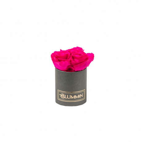 XS BLUMMIN DARK GREY BOX WITH HOT PINK ROSES