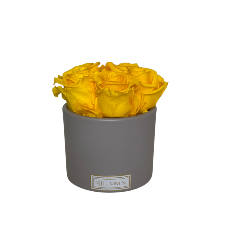 5 ROOSI - TUMEHALL KERAAMIKA YELLOW KAUASÄILIVATE ROOSIDEGA