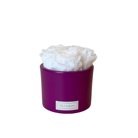 (-15%) 5 ROOSI -  FUKSIA KERAAMIKA WHITE KAUASÄILIVATE ROOSIDEGA