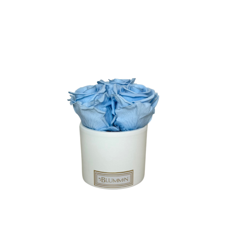 3 ROOSI - VALGE KERAAMIKA LIGHT BLUE KAUASÄILIVATE ROOSIDEGA