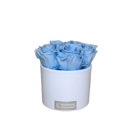 5 ROSES - WHITE CERAMIC WITH LIGHT BLUE ROSES