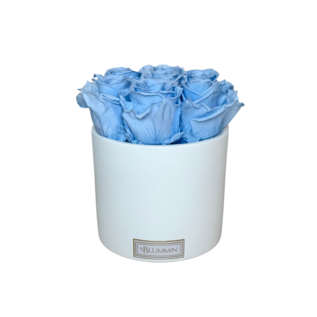 7 ROOSI - VALGE KERAAMIKA LIGHT BLUE KAUASÄILIVATE ROOSIDEGA