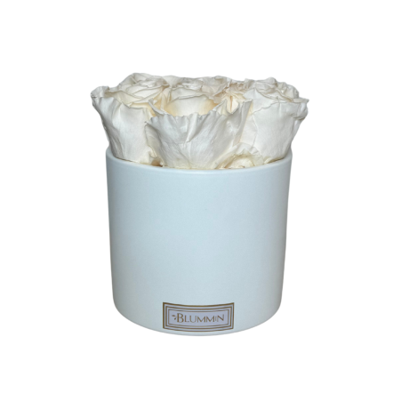 7 ROSES - WHITE CERAMIC WITH CHAMPAGNE ROSES