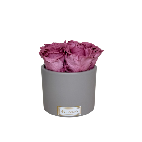5 ROOSI - BEEŽ KERAAMIKA VINTAGE PINK KAUASÄILIVATE ROOSIDEGA