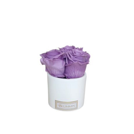 3 ROOSI - VALGE KERAAMIKA LILAC KAUASÄILIVATE ROOSIDEGA