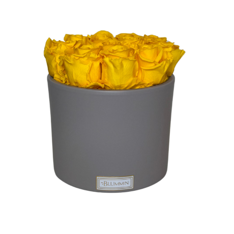13 ROOSI - BEEZ KERAAMIKA YELLOW KAUASÄILIVATE ROOSIDEGA