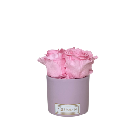3 ROOSI - ROOSA KERAAMIKA BRIDAL PINK KAUASÄILIVATE ROOSIDEGA