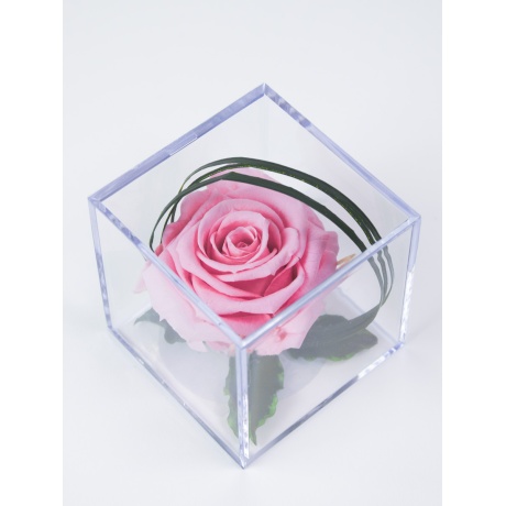 KAUASÄILIV ROOS AKRÜÜLKARBIS - PINK