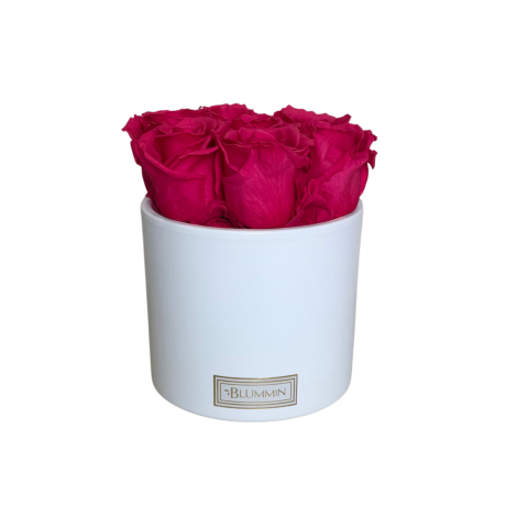 -20% 7 ROOSI - VALGE KERAAMIKA CORAL PINK KAUASÄILIVATE ROOSIDEGA