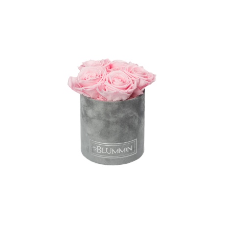 BLUMMIN MIDI LIGHT GREY VELVET BOX WITH  YELLOW ROSES