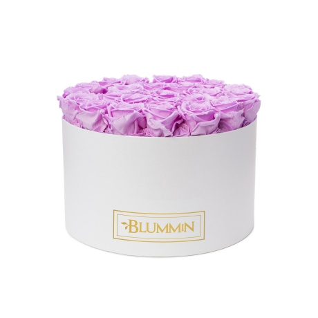 XL BLUMMiN - VALGE KARP BABY LILLY ROOSIDEGA