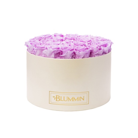 XL BLUMMiN - KREEMIKASVALGE KARP BABY LILLY ROOSIDEGA