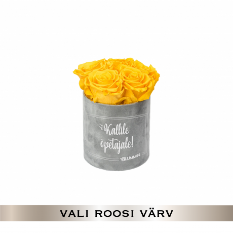 KALLILE ÕPETAJALE - MIDI LIGHT GREY VELVET BOX WITH 5 ROSES