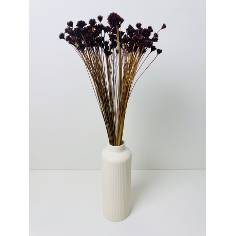 KUIVTAIMEDEST KIMP - HILL FLOWER BROWN