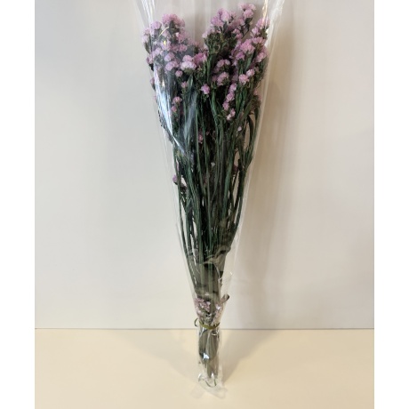PRESERVED EUCALYPT CINEREA - SMALL BOUQUET