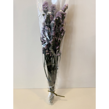 PRESERVED EUCALYPT CINEREA - SMALL BOUQUET
