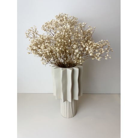 PRESERVED GYPSOPHILA - NATURAL