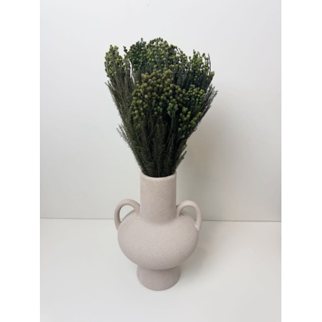 KUIVATATUD LILLED - LANUGINOSA