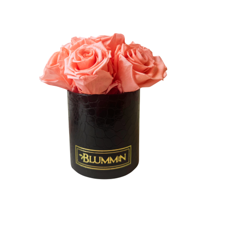 BOUQUET  WITH 7 ROSES - MIDI BLUMMIN BLACK VELVET BOX WITH VIBRANT RED ROSES
