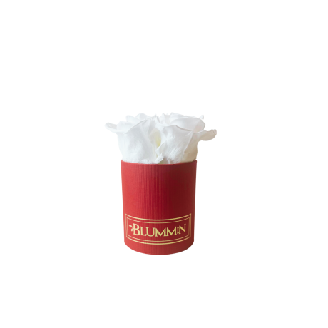 XS BLUMMIN - RED BOX WITH VIBRANT RED ROSES