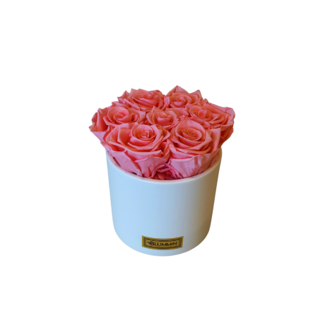 BEIGE CERAMIC POT WITH VIBRANT RED ROSES