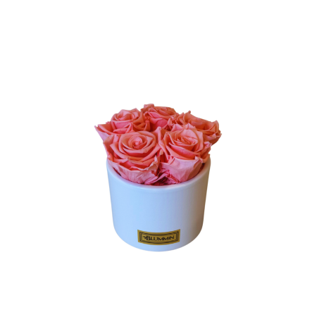BEIGE CERAMIC POT WITH VIBRANT RED ROSES