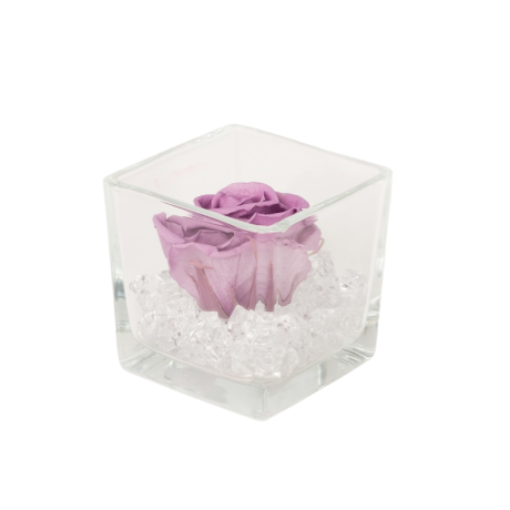 LILAC KAUASÄILIV ROOS KLAASIST VAASIS 8x8 cm KRISTALLIDEGA