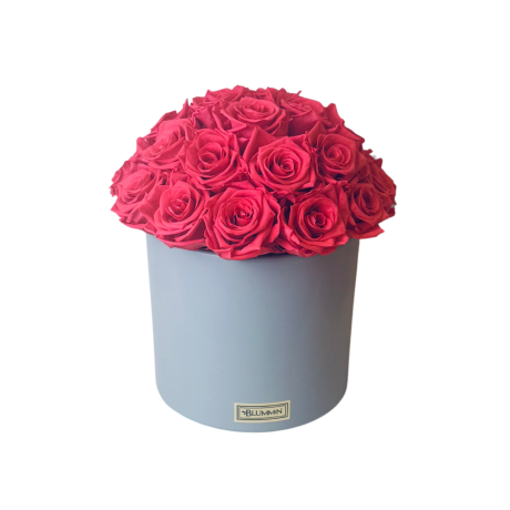 -25% BUKETT 25-27 ROOSI - BEEŽ KERAAMIKA BRIGHT LIGHT RED ROOSID