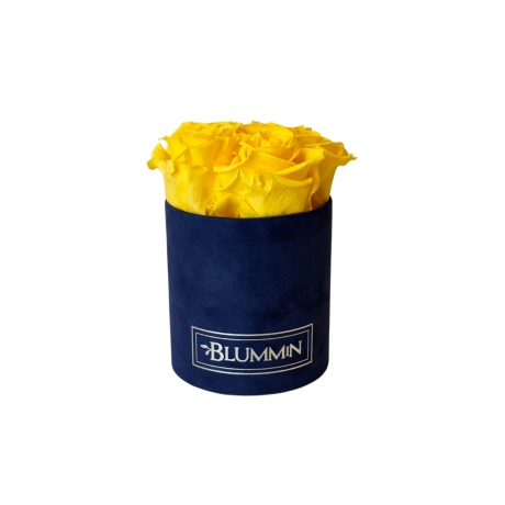 MIDI BLUMMiN - DARK BLUE VELVET BOX WITH WHITE ROSES