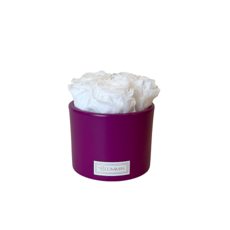 FUKSIA KERAAMIKA WHITE KAUASÄILIVATE ROOSIDEGA - 5 ROOSI
