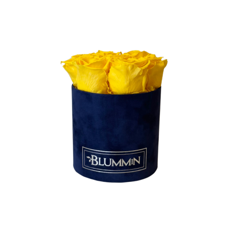 -25% SMALL BLUMMiN TUMESININE SAMETKARP YELLOW KAUASÄILIVATE ROOSIDEGA