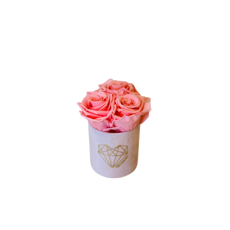 XS OLD LILAC VELVET BOX WITH LIGHT PINK ROSES