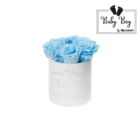 BABY BOY - WHITE VELVET BOX WITH 5 BABY BLUE ROSES 