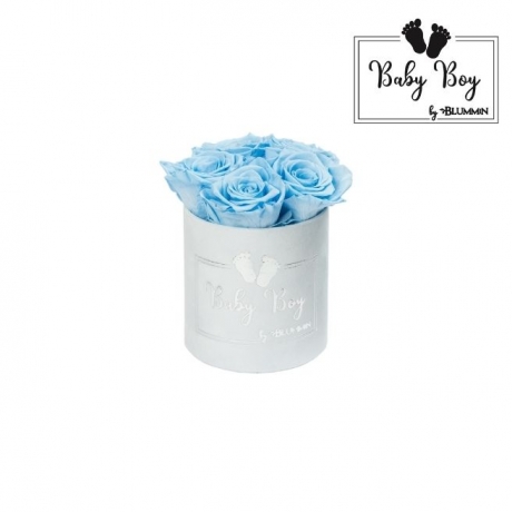 BABY BOY - LIGHT BLUE VELVET BOX WITH 5 BABY BLUE ROSES