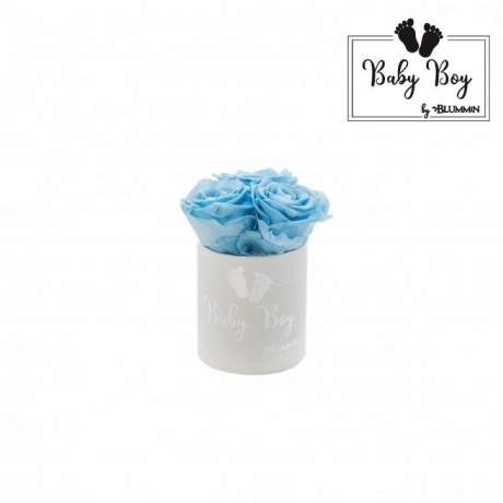BABY BOY - WHITE VELVET BOX WITH 3 BABY BLUE ROSES