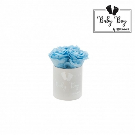 BABY BOY XS VALGE SAMETKARP BABY BLUE ROOSIDEGA