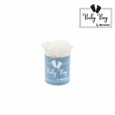 BABY BOY - sinine karp WHITE roosidega (3 roosiga)