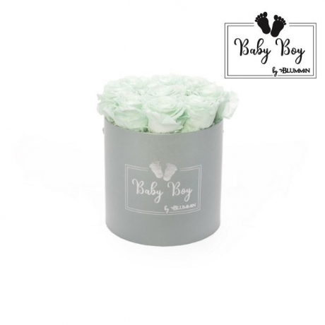 BABY BOY - LIGHT GREY BOX WITH 9 MINT ROSES 