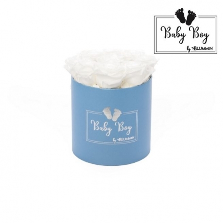 BABY BOY - sinine karp WHITE roosidega (9 roosiga)