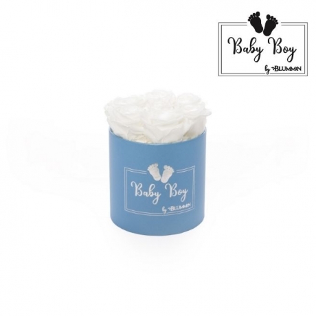 BABY BOY - sinine karp WHITE roosidega (7 roosiga)
