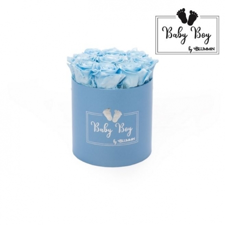 BABY BOY MEDIUM SININE KARP BABY BLUE ROOSIDEGA