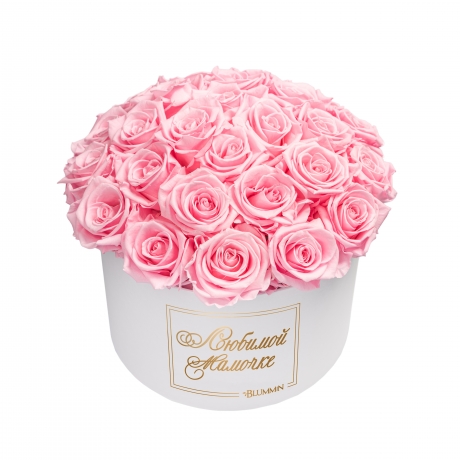 -20% ЛЮБИМОЙ МАМОЧКЕ BOUQUET WITH 25 ROSES - LARGE BLUMMIN WHITE BOX WITH BRIDAL PINK ROSES