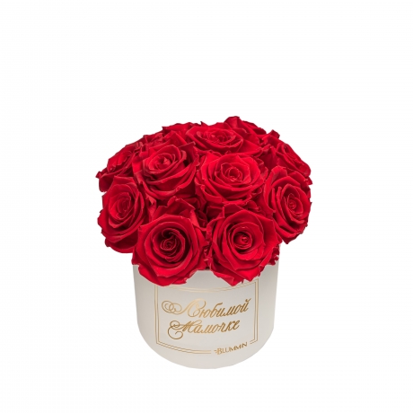  BOUQUET WITH 11 ROSES - SMALL CREAMY BOX WITH VIBRANT RED ROSES