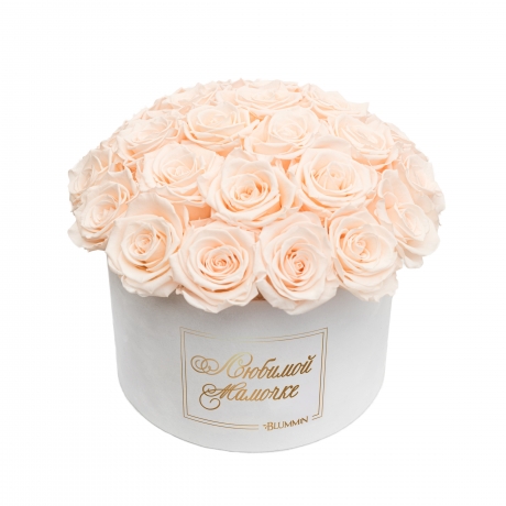  -20% ЛЮБИМОЙ МАМОЧКЕ BOUQUET WITH 25 ROSES - LARGE WHITE VELVET BOX WITH ICE PINK ROSES